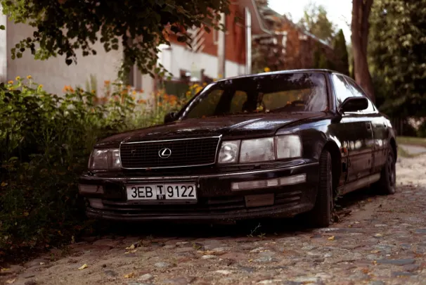 카지노 잭팟 몰리 안드로이드/iOS 앱